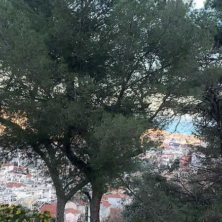 홈스테이 D Avec Clim Terrasse Et Petit Dejeuner Hauteurs De 니스